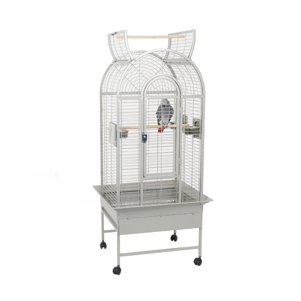 Photo inspiration: Rainforest Ecuador Ii Parrot Cage Photo Inspiration