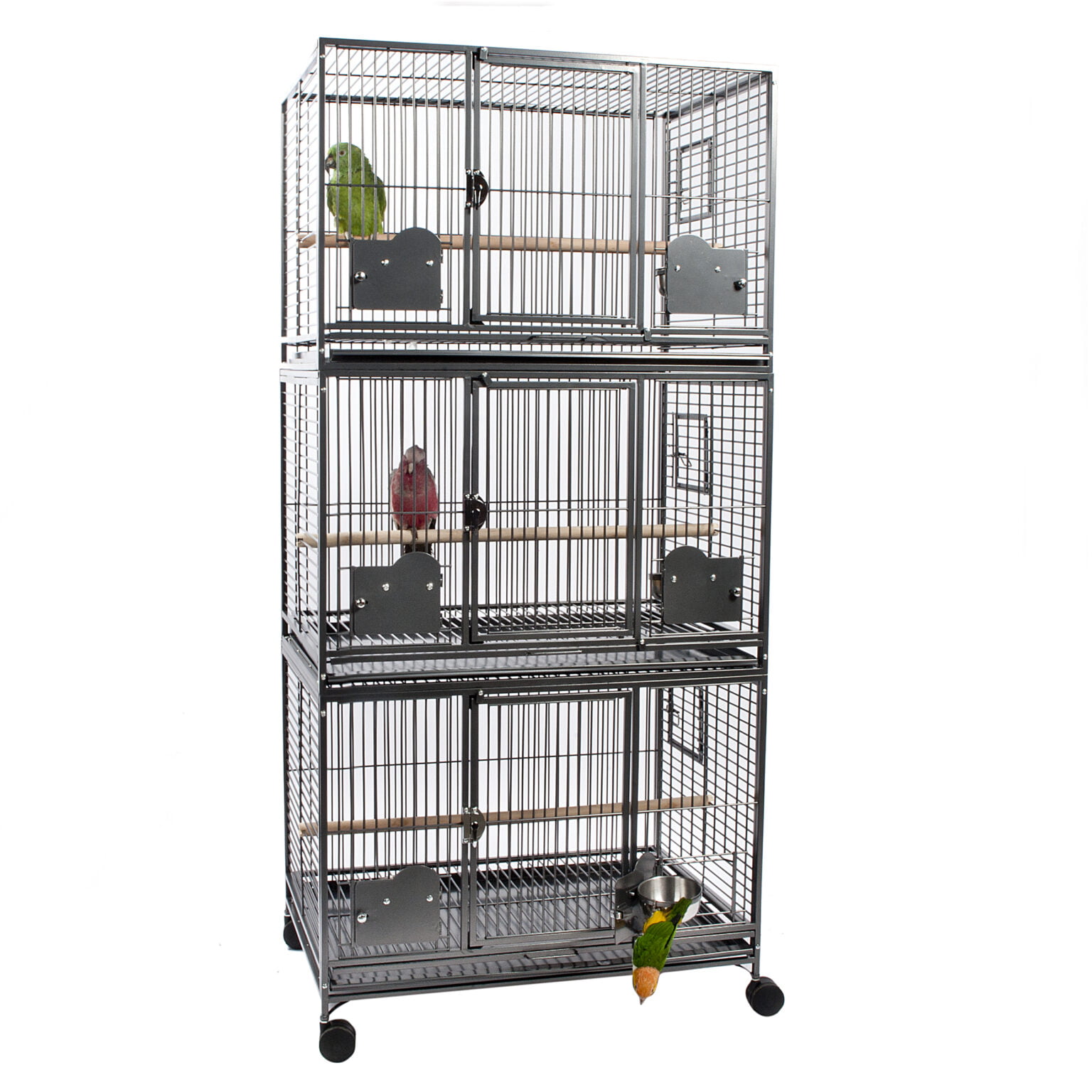 Picture of Parrot Cages Everyday Pet Archives - Everyday Pet Cages
