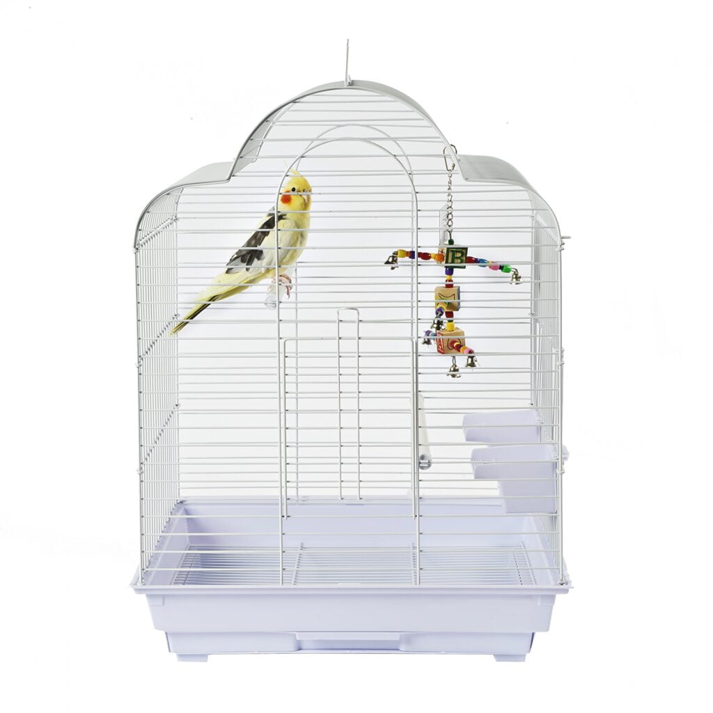 Image showcasing Cages for small Medium Birds – Everyday Pet Cages