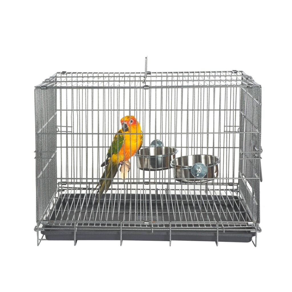 View of Cages for small Medium Birds Archives - Everyday Pet Cages