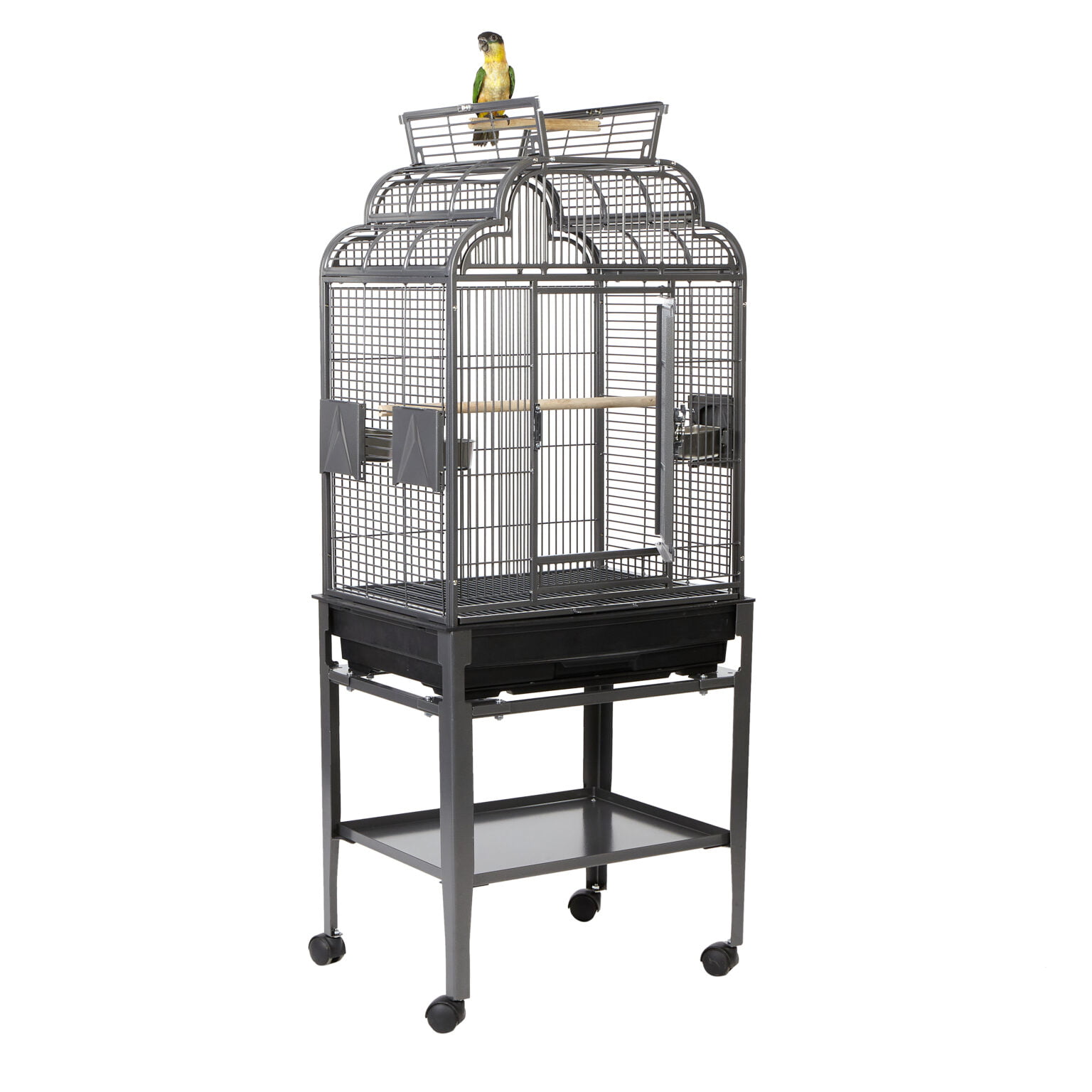 View of Cages for small Medium Birds Archives - Everyday Pet Cages