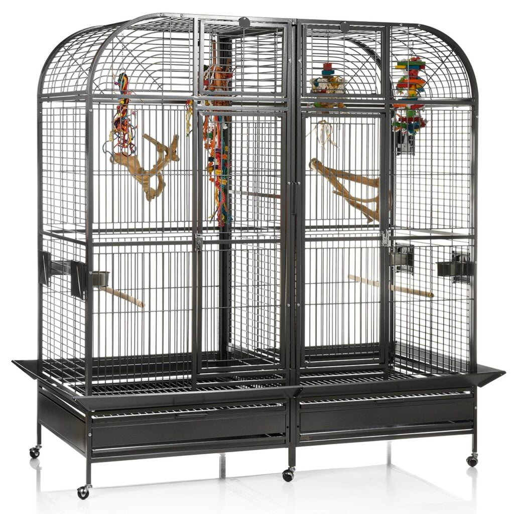 Rainforest Parrot Cage Wall Decor Reference: Everyday Pet Rainforest Parrot Cages Bird Cages