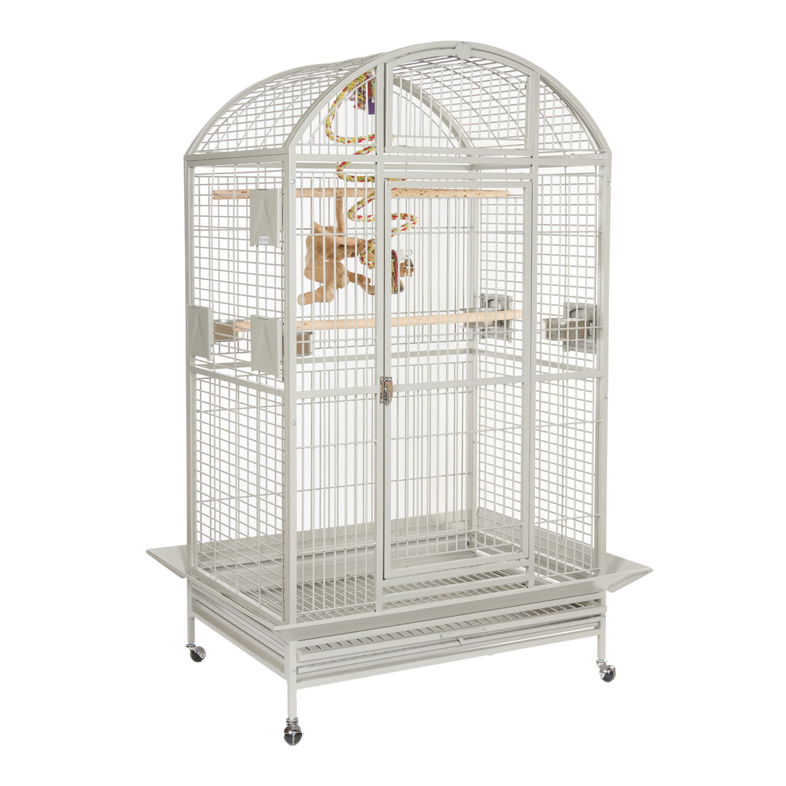 Image showcasing Parrot Cages Everyday Pet Archives - Everyday Pet Cages