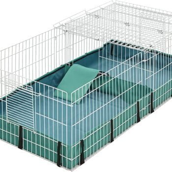 Guinea Pig Cage Midwest Plus