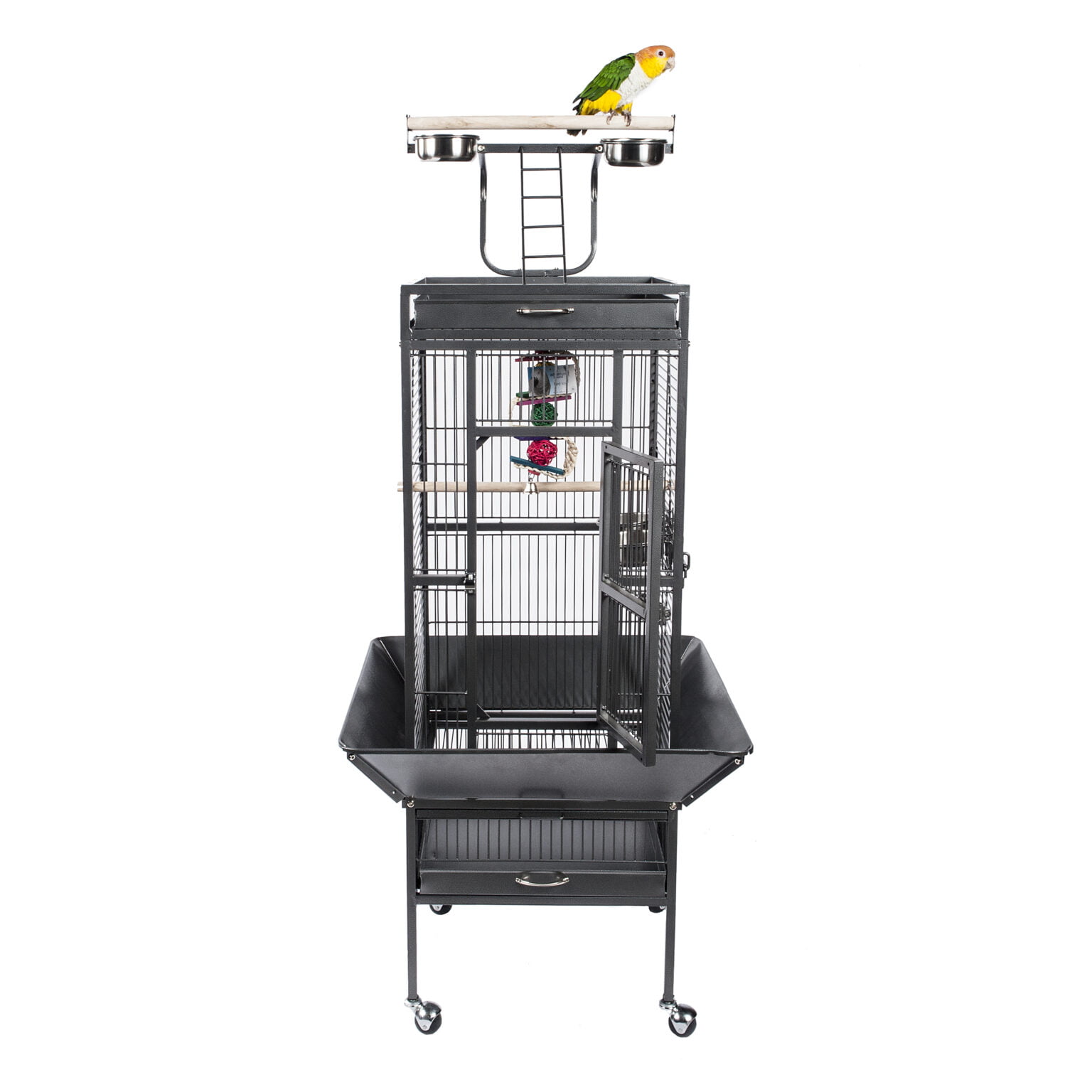 Cages for small Medium Birds Archives Everyday Pet Cages