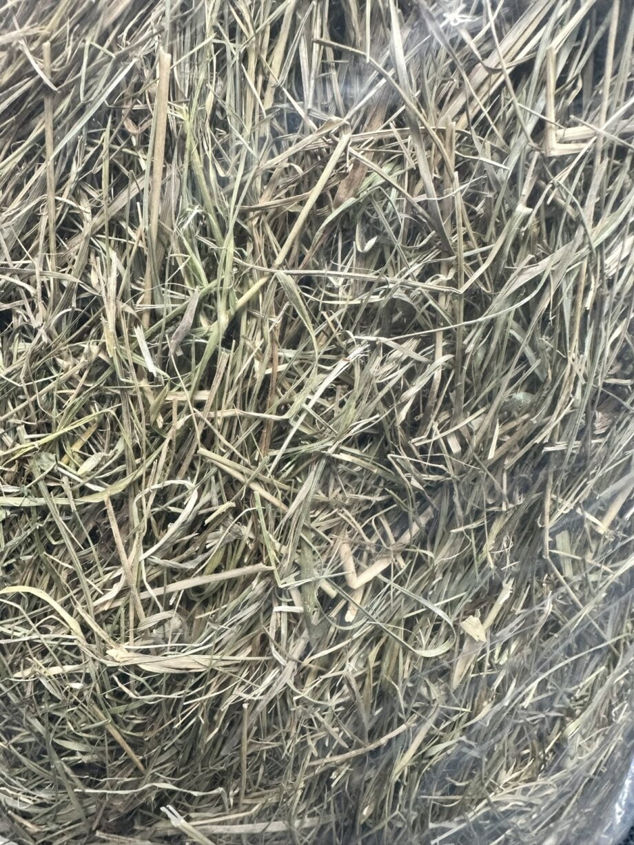 Large bag Meadow Hay