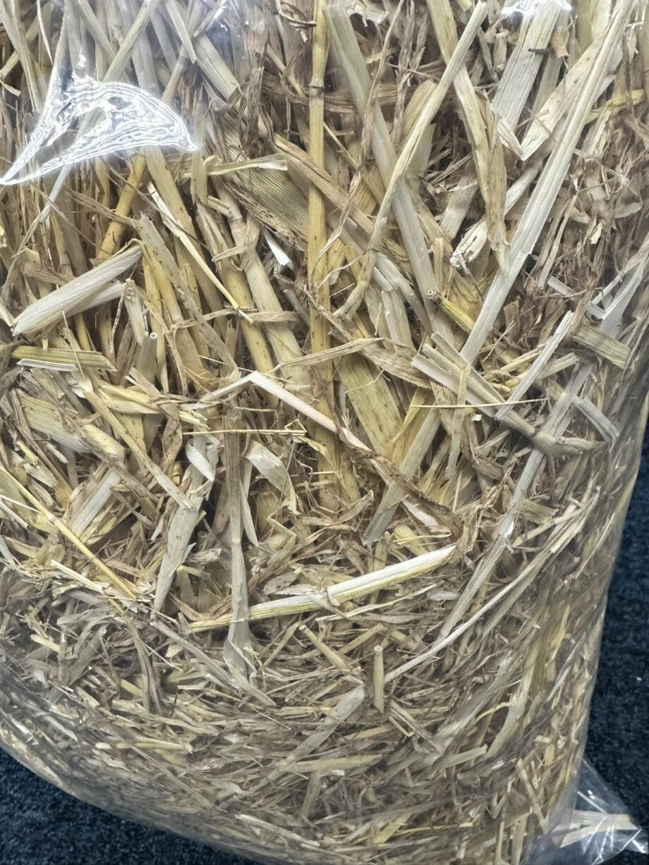Large bag of Straw